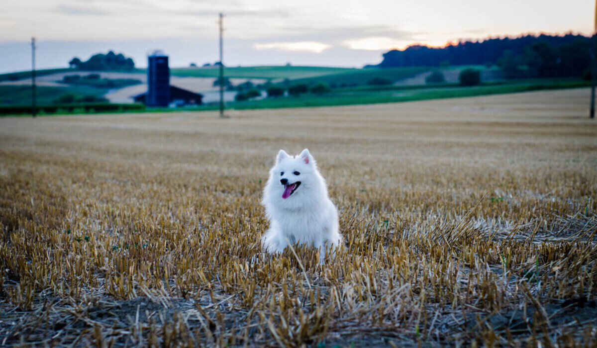 DSC_4801